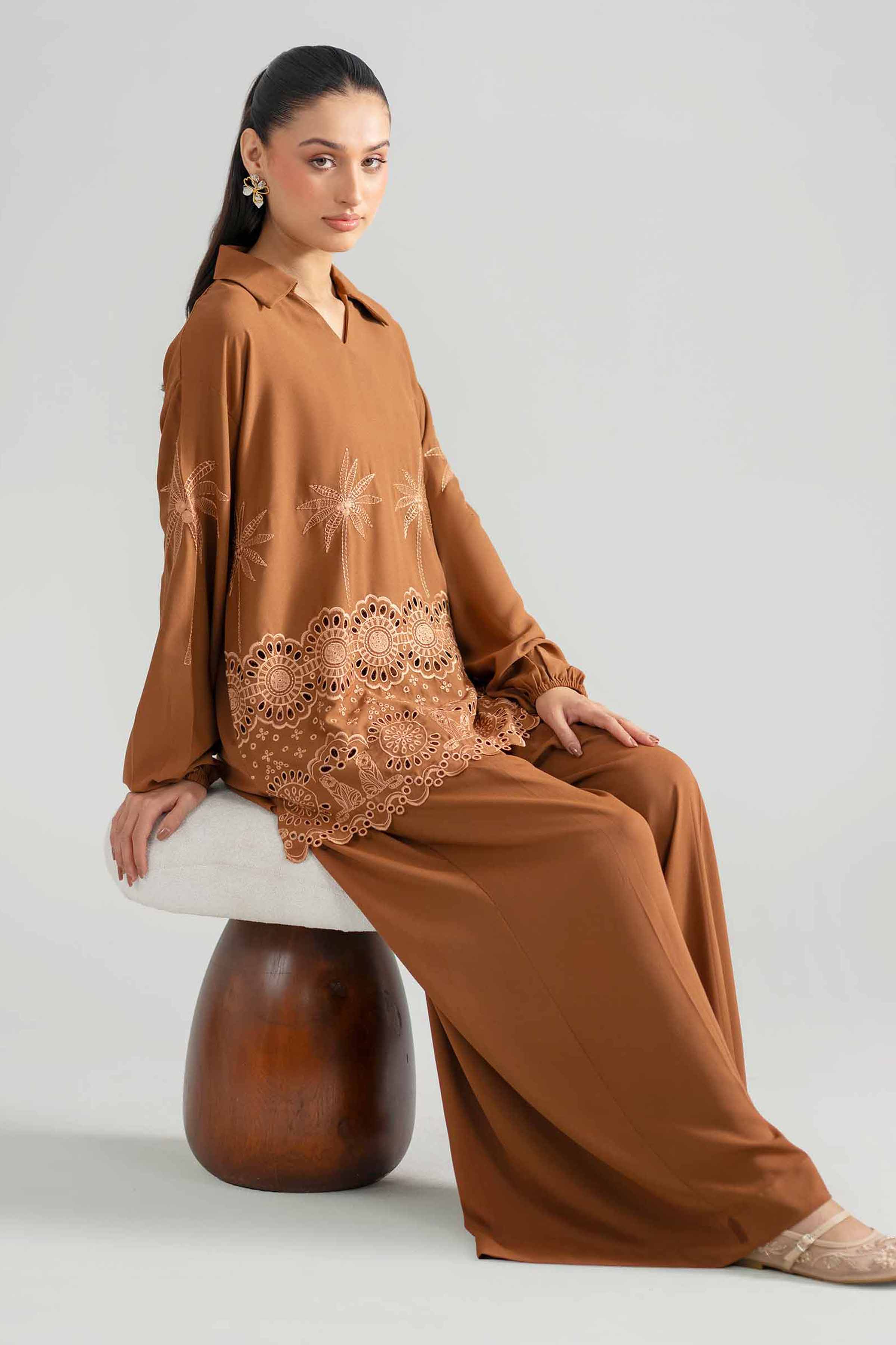 2 Piece - Embroidered Suit - AS26-55 Brown Georgette 2PC Embroidered READY TO WEAR