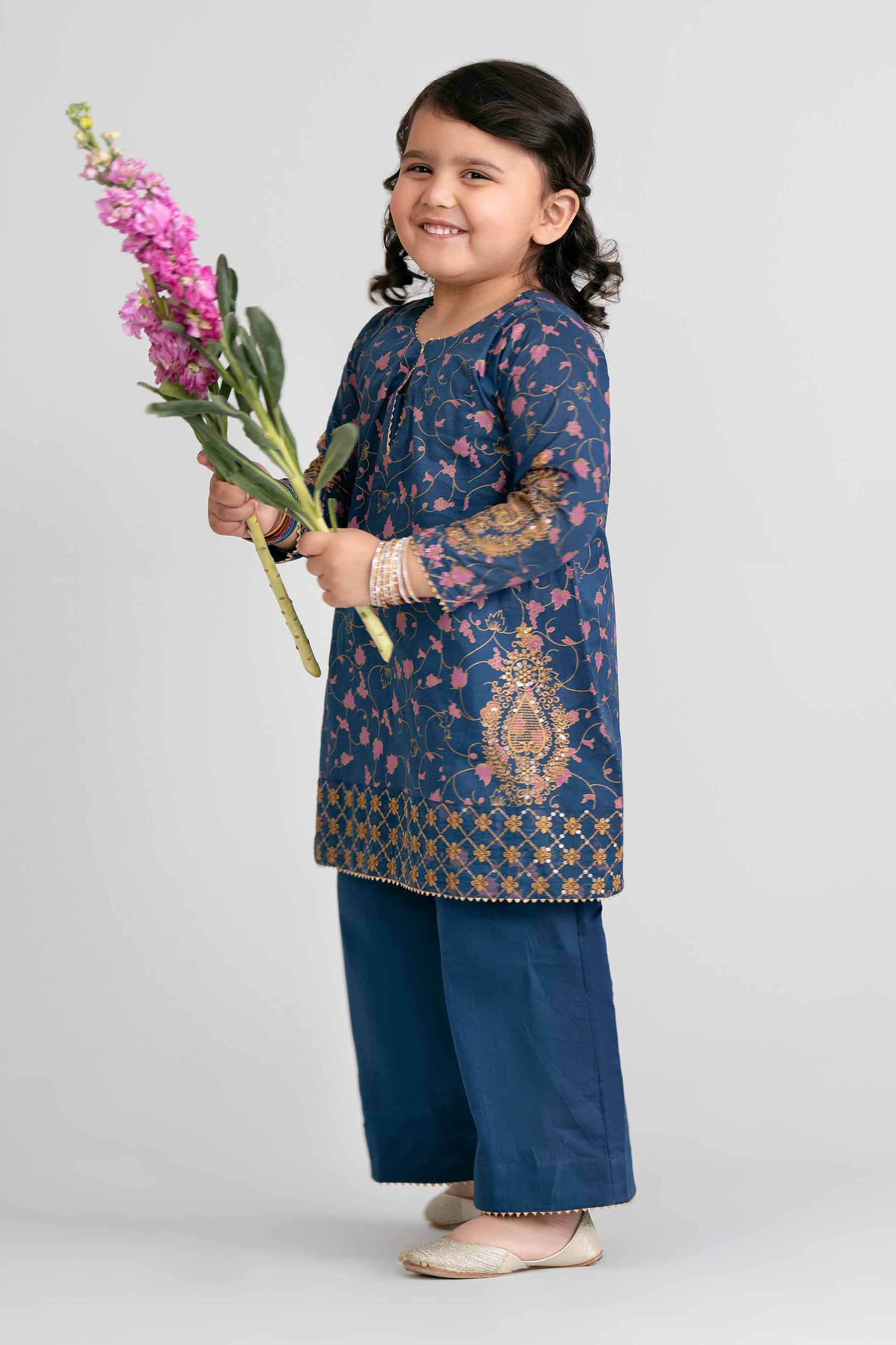 2 Piece - Printed Embroidered Suit - PMD26-04 D Blue Lawn Embroidered