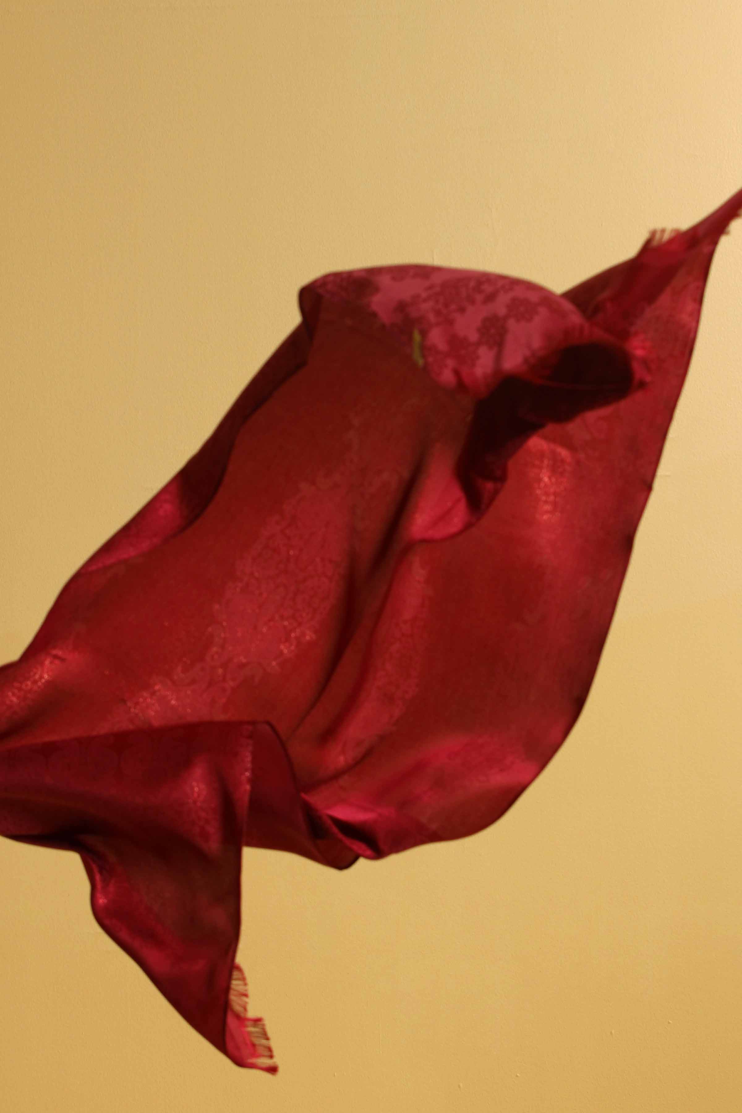 Red Women Scarf - 432062101