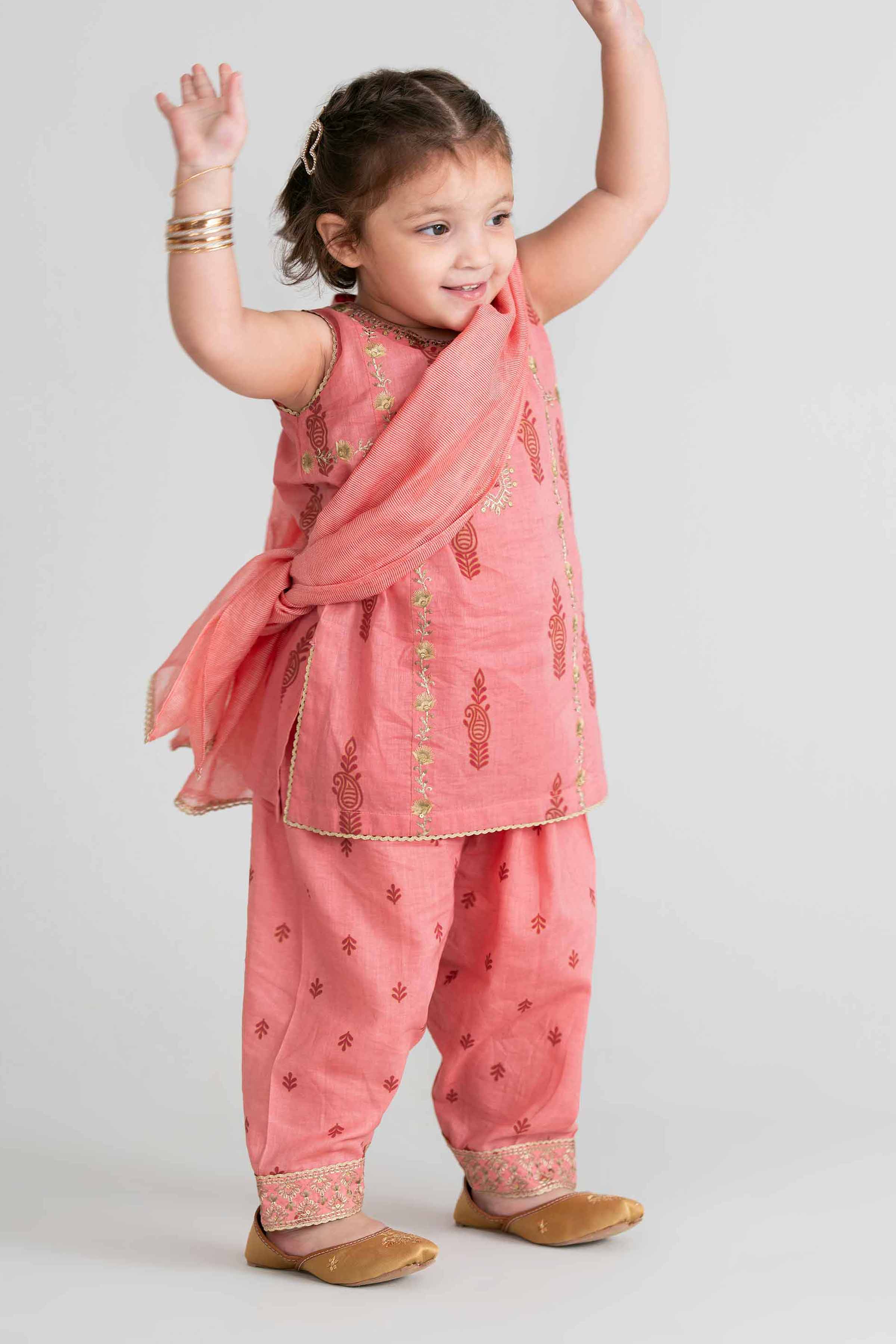 3 Piece - Printed Embroidered Suit - PMD26-42 D