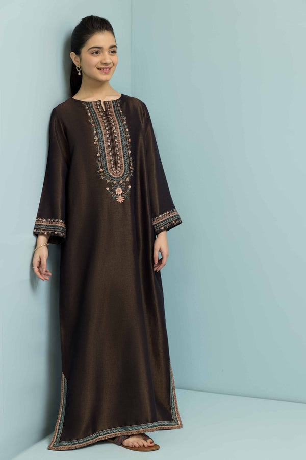 Embroidered Fustaan - DS23-49