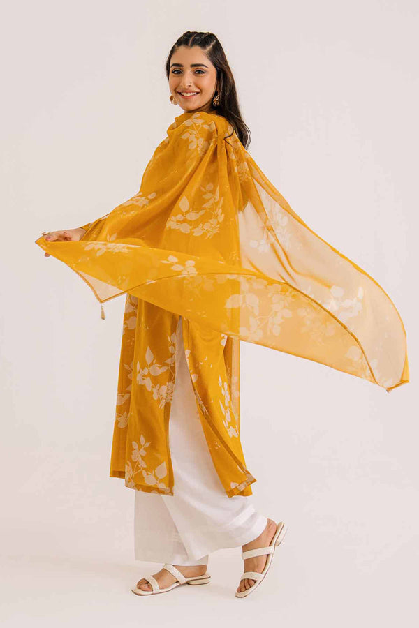 Pakistani suits online for women in uae